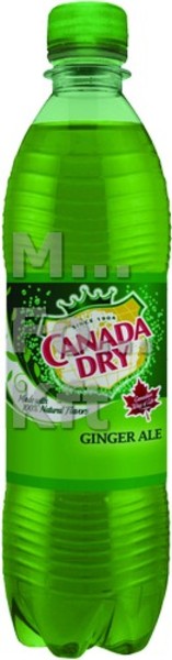 Canada Dry 0,5l Pet DRS